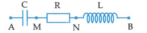 image2.png image2.png