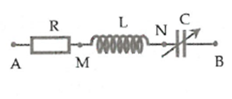 image5.png image5.png