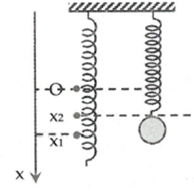image6.png image6.png