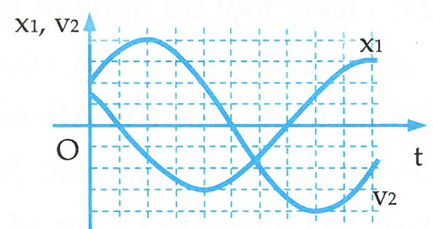image2.png image2.png