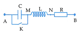 image4.png image4.png