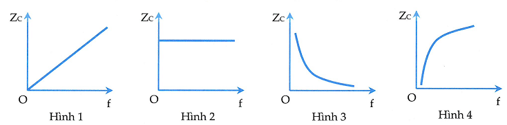 image1.png image1.png