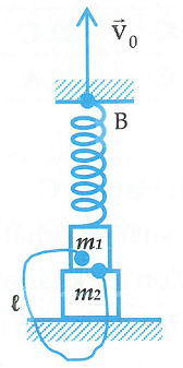 image3.png image3.png