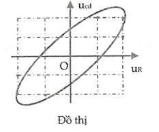 image5.png image5.png