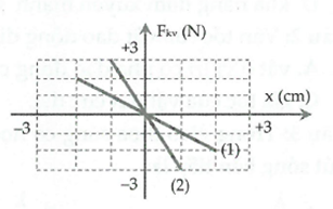 image2.png image2.png