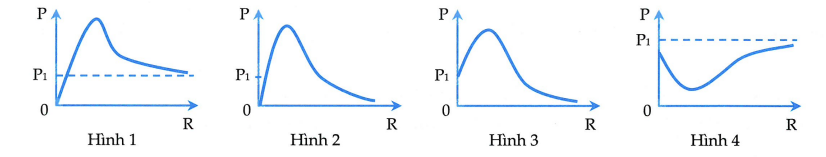 image1.png image1.png