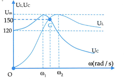 image5.png image5.png