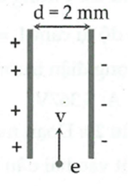 image1.png