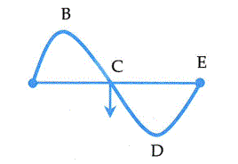 image2.png image2.png