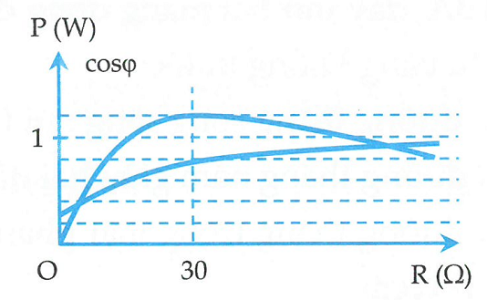 image3.png image3.png