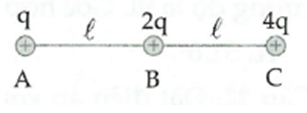 image1.png