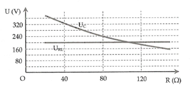 image2.png image2.png