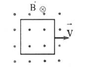 image1.png