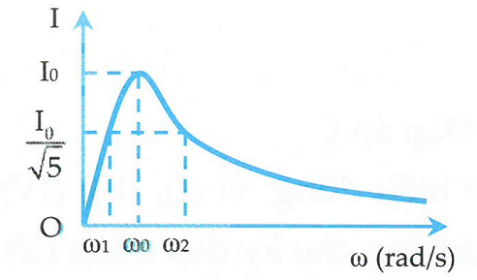 image1.png image1.png