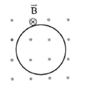 image1.png image1.png