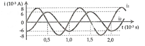 image2.png image2.png