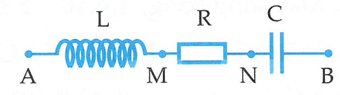 image3.png