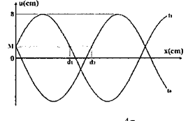 image4.png
