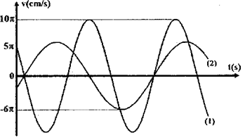 image5.png