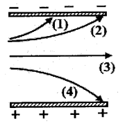 image2.png