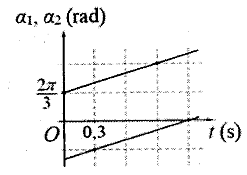 image3.png