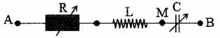 image4.png image4.png
