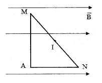 image7.png