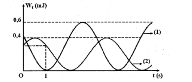 image5.png
