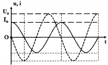 image2.png image2.png