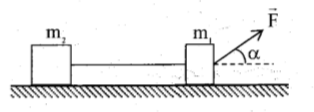 image4.png