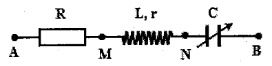 image3.png