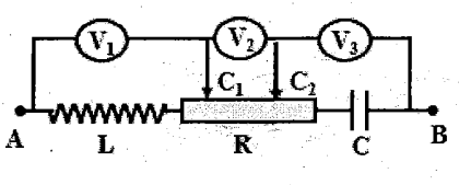 image3.png image3.png