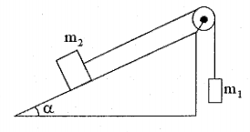 image2.png image2.png
