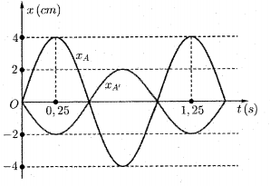 image5.png