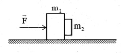 image2.png image2.png