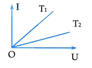 image1.png