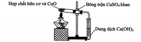 image2.png