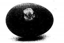 image5.png