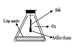 image4.png