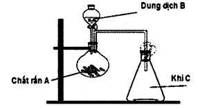 image1.png