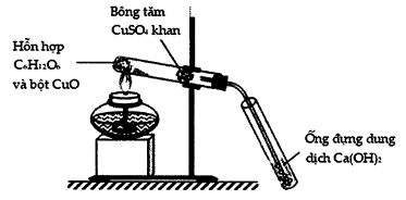 image2.png