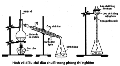 image4.png