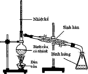 image1.png