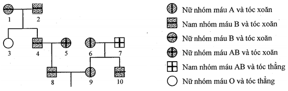 image4.png image4.png