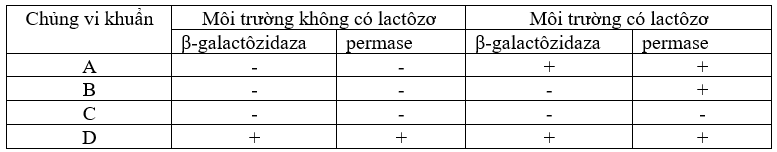 image3.png image3.png