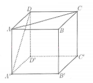 image1.png