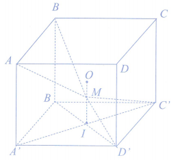 image6.png image6.png
