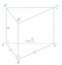 image5.png image5.png