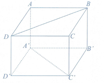 image6.png image6.png