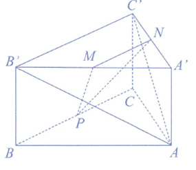 image10.png image10.png